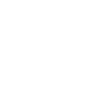 The Center Logo White with Tag